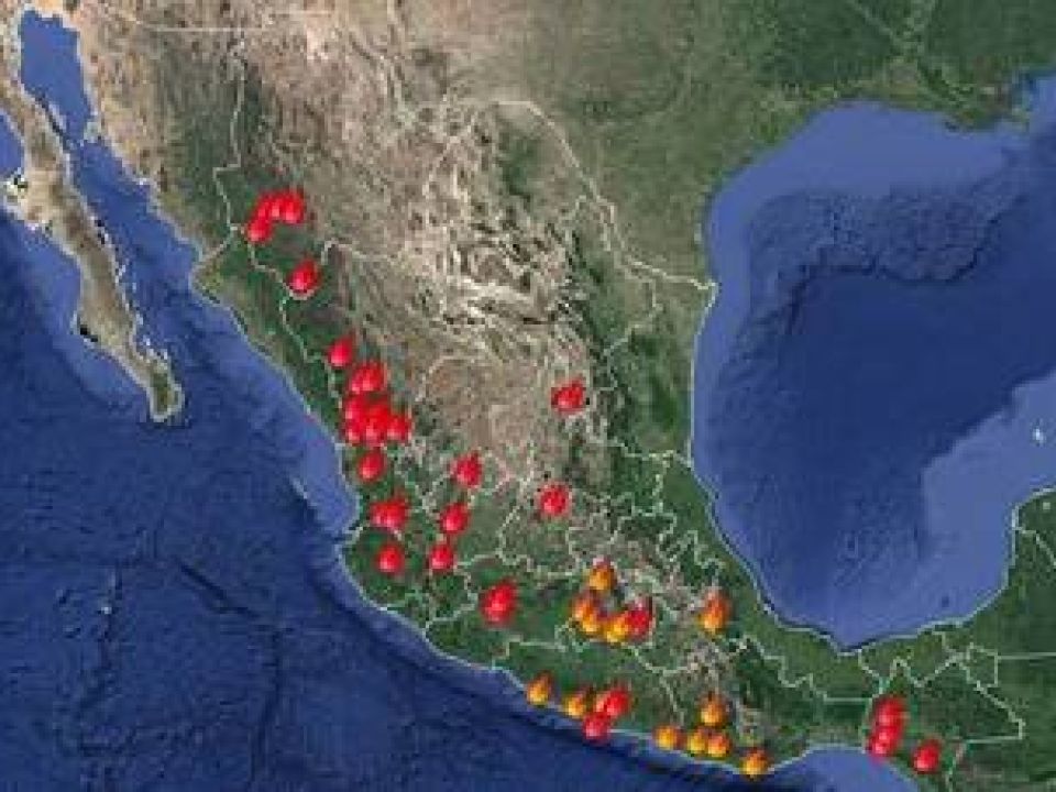 Incendio forestal