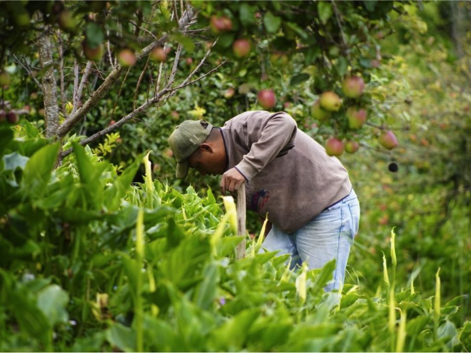 Agricultor