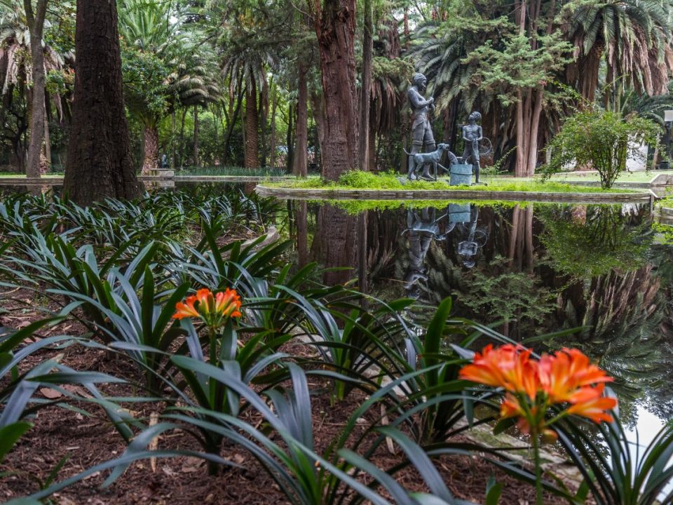 Bosque CDMX