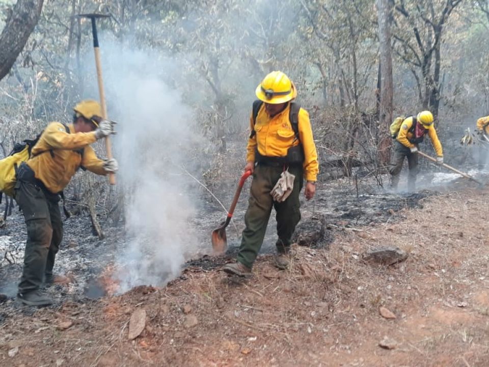 Combatientes de fuego