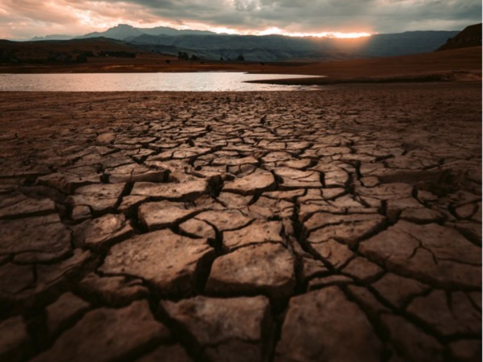 Desertificación