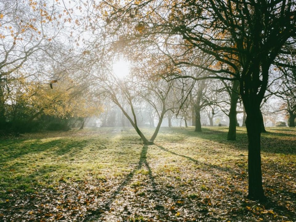 Parque Finsbury