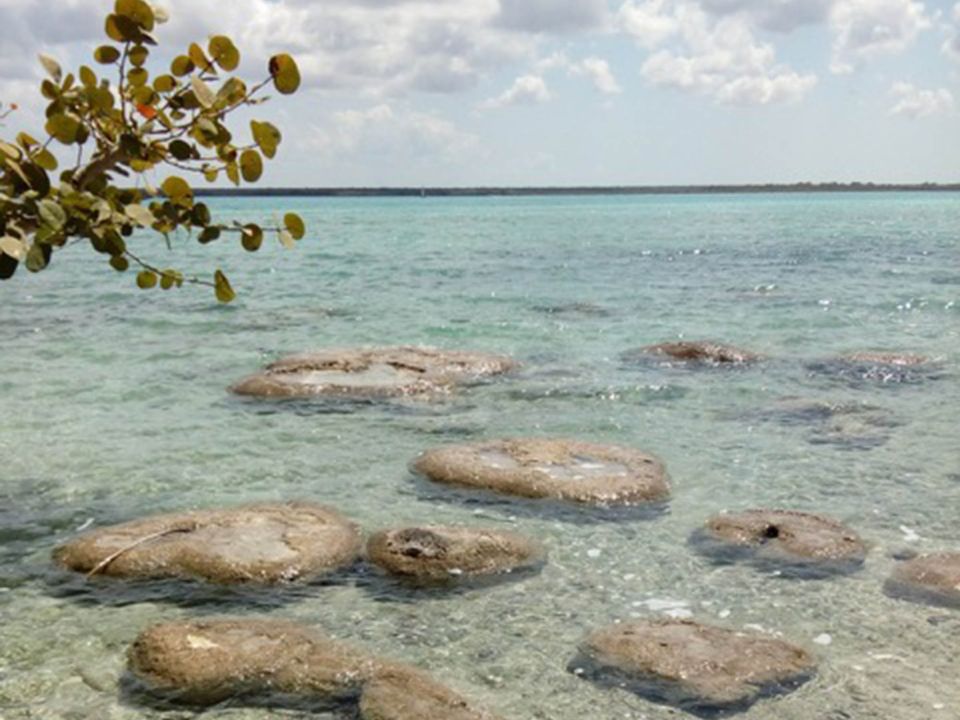 Laguna de Bacalar