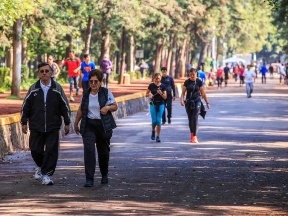 Bosque de Tlalpan