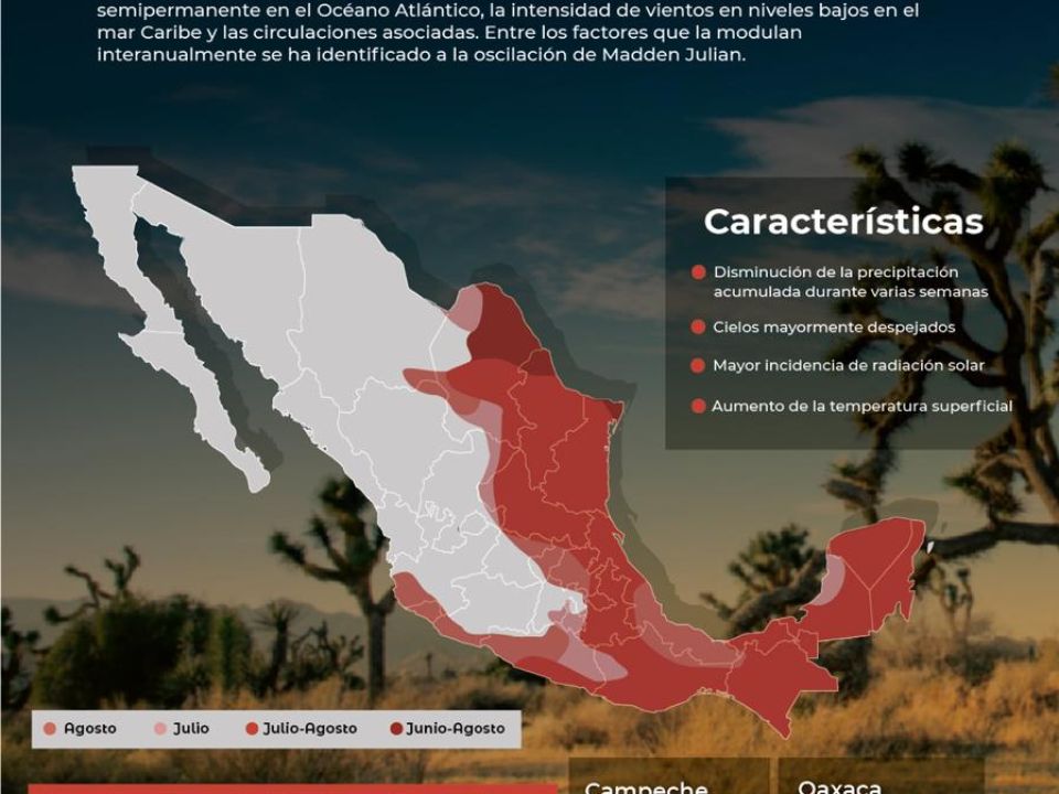 La canícula, un fenómeno de 40 días