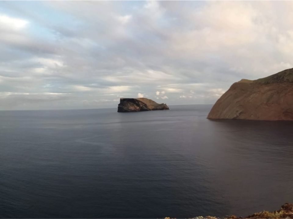 La Reserva de la Biósfera Isla Guadalupe cumple 15 años La Reserva de la Biósfera Isla Guadalupe cumple 15 años