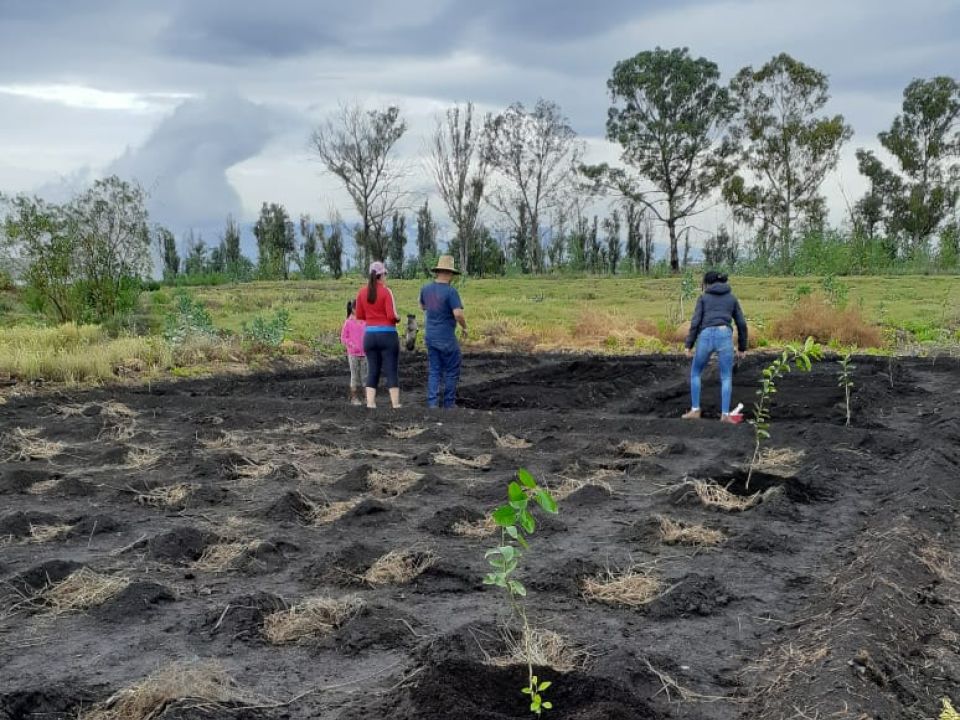 Suelo de conservación