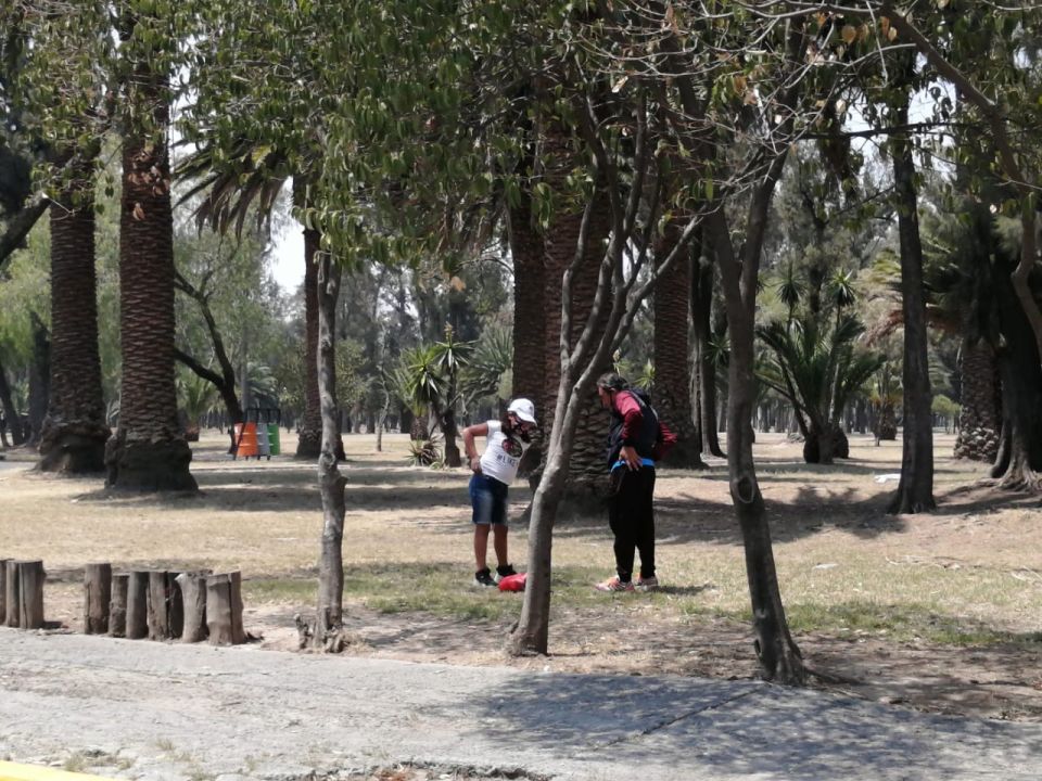 Bosque San Juan de Aragón