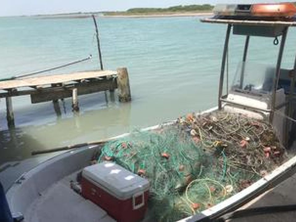Operativo pesca