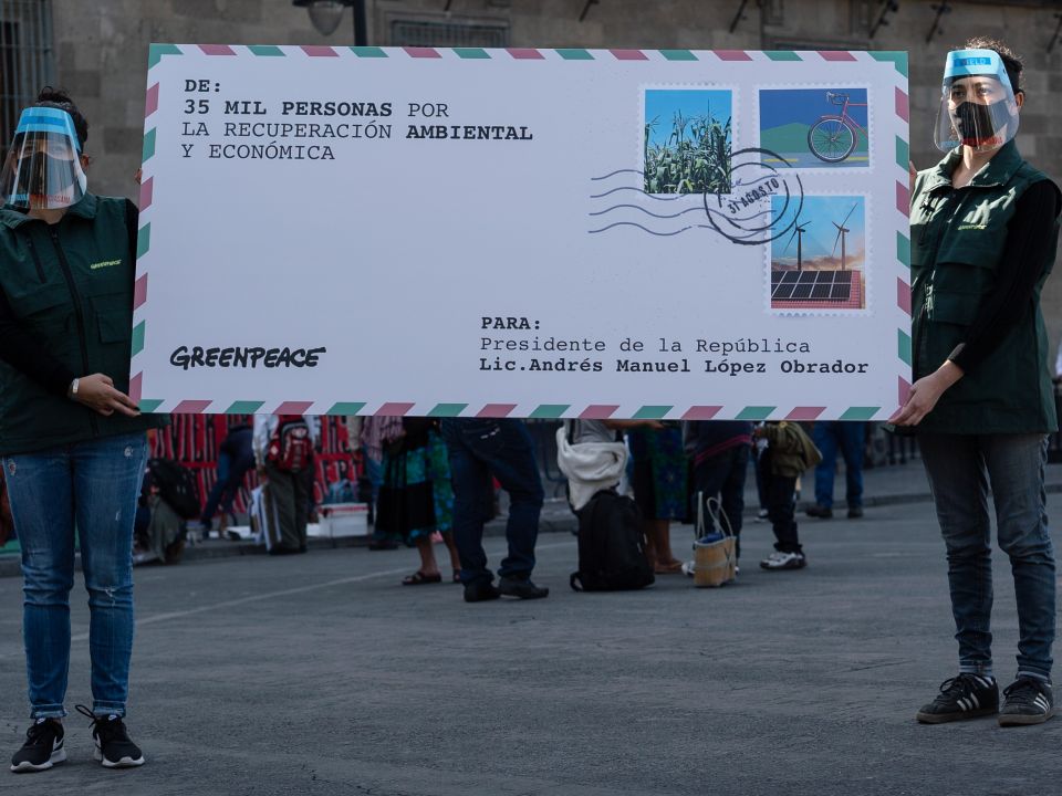Greenpeace pide de protección al medio ambiente
