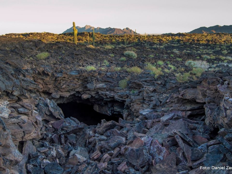 Reserva de la Biósfera el Pinacate 