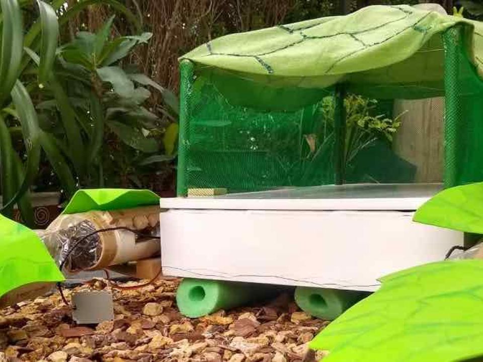 Robotic Turtle to Clean Lakes