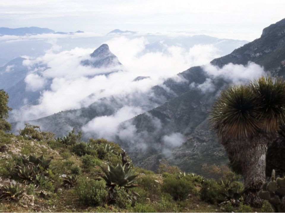 Sierra Gorda de Querétaro