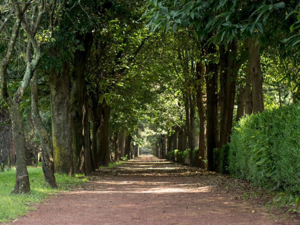 Viveros de Coyoacán