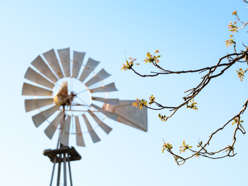 Viento y cielo