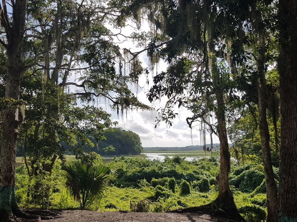 Ejido Laguna Om