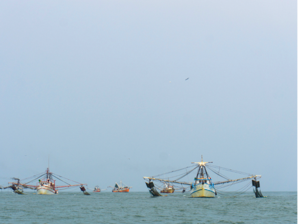 Barco pesquero