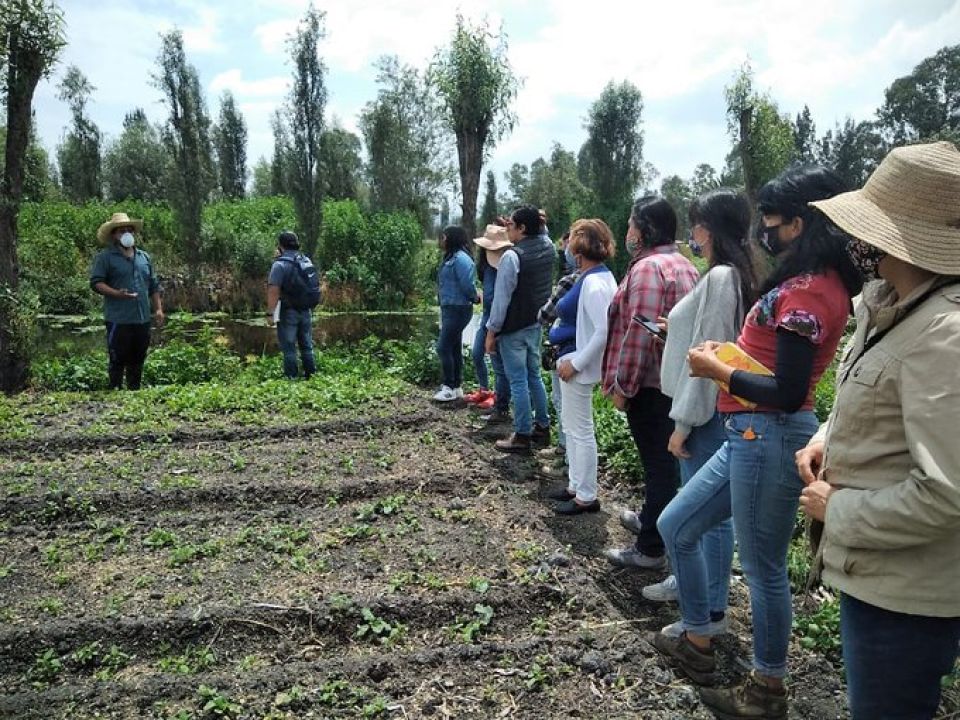 Escuela agroecológica