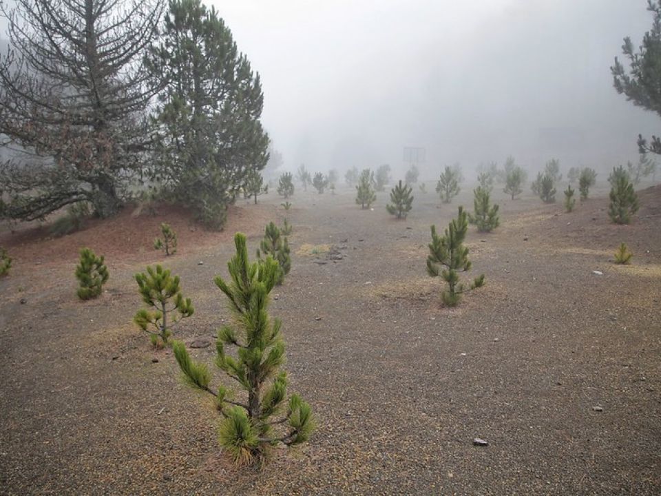 Parque Nacional Nevado de Colima