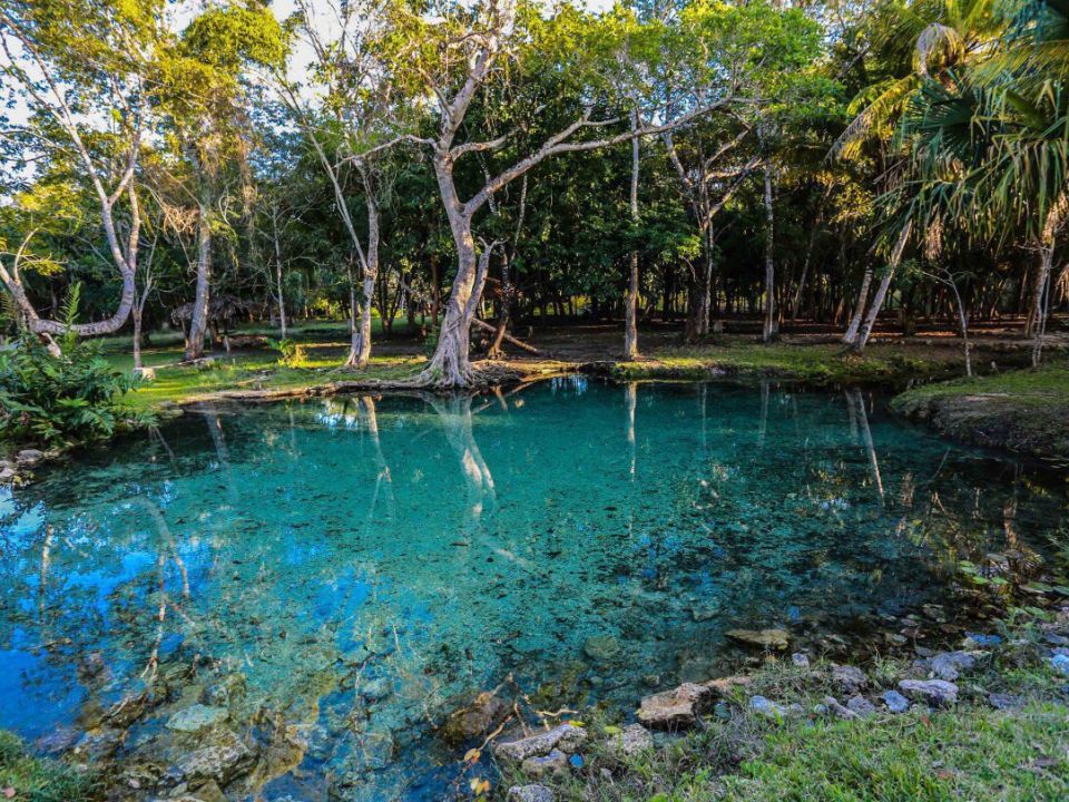 Zona forestalen Quintana Roo