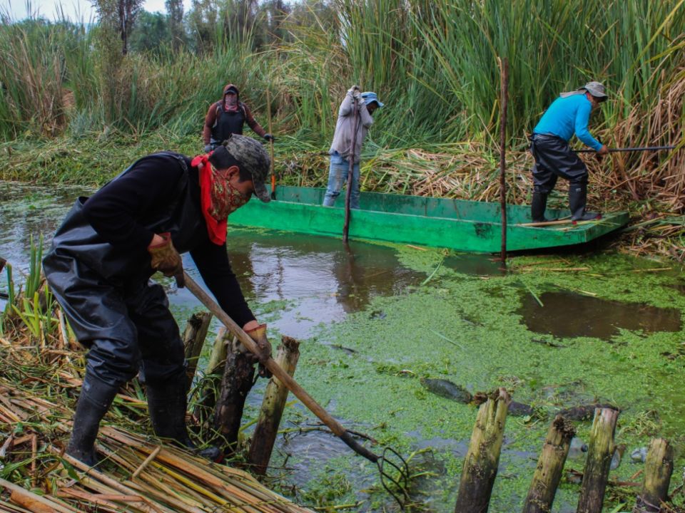 Xochimilco