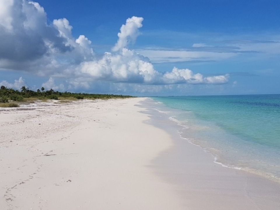 Yum Balam, Isla Grande de Holbox