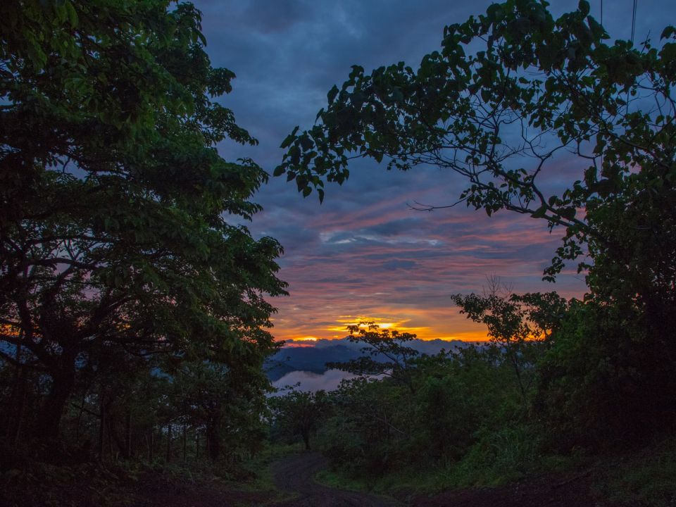 Bosque en Costa Rica