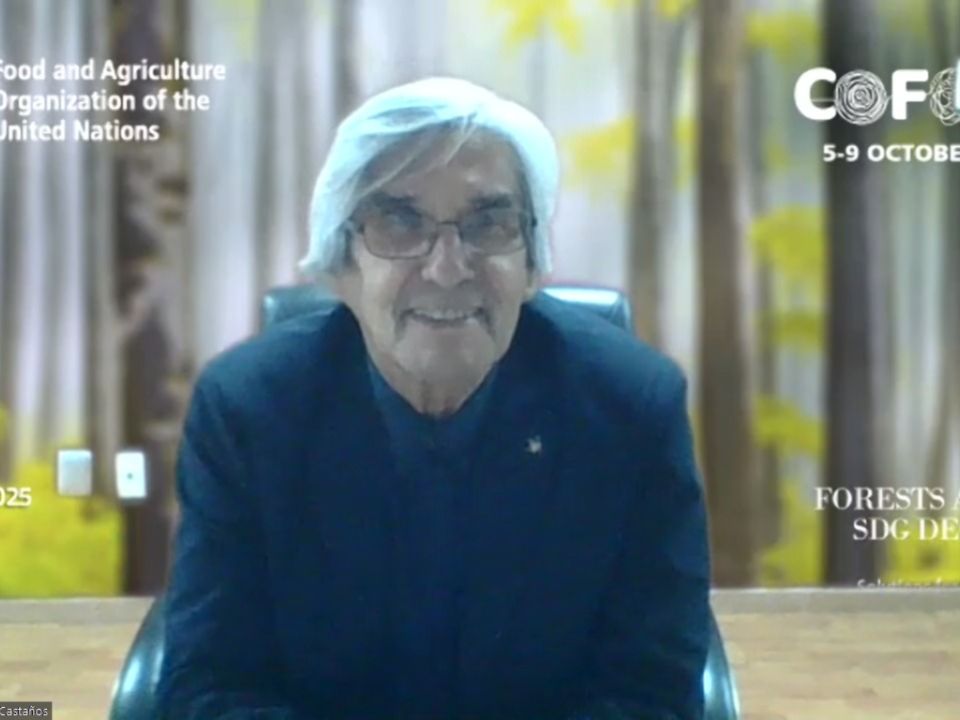 León Jorge Castaños