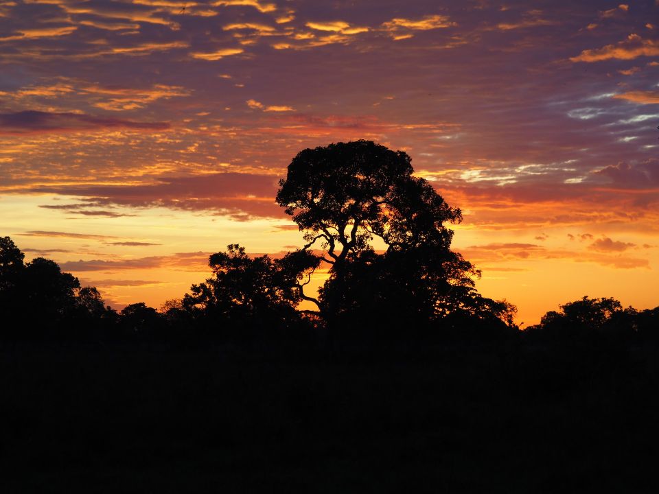 El pantanal, Brasil