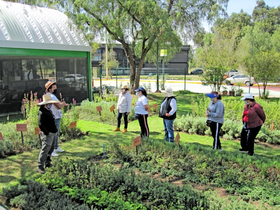 Jardinería