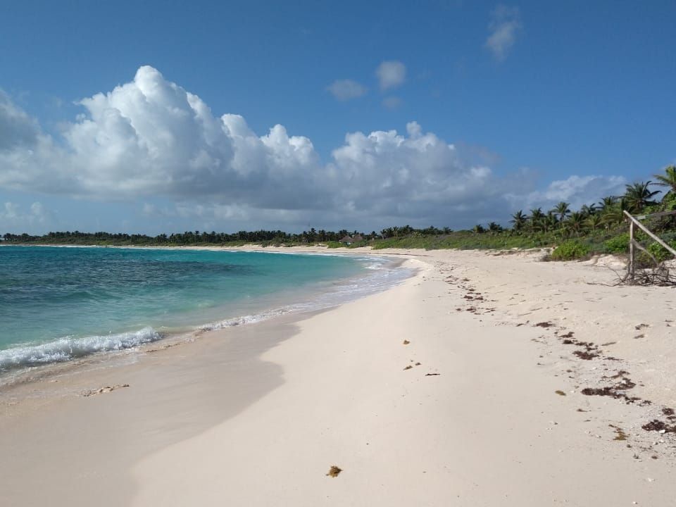 Playa en Quintana Ro