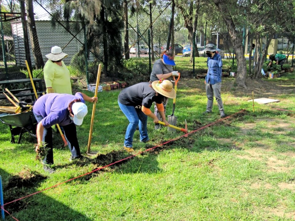 Jardinería ambiental