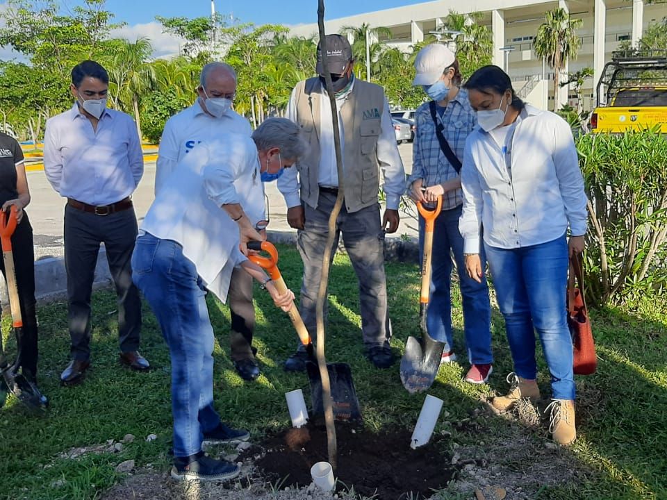Reforestación