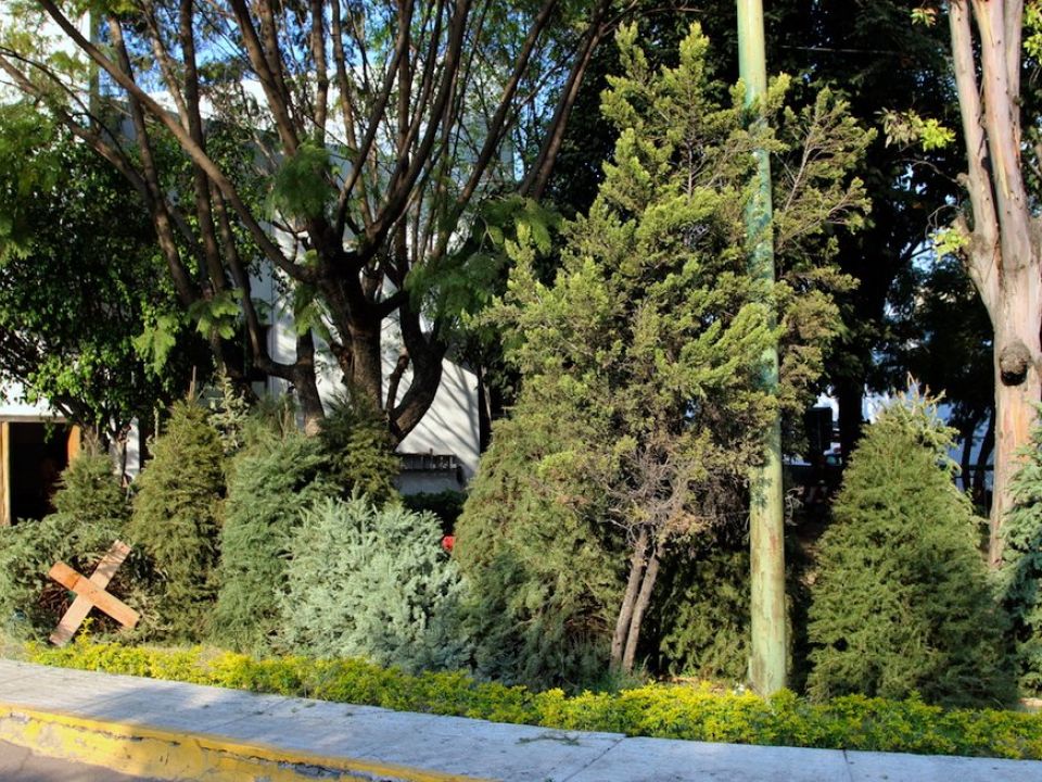 Árbol de Navidad