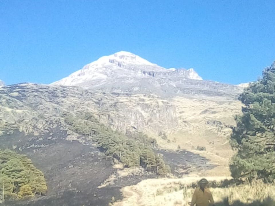 Incendio forestal