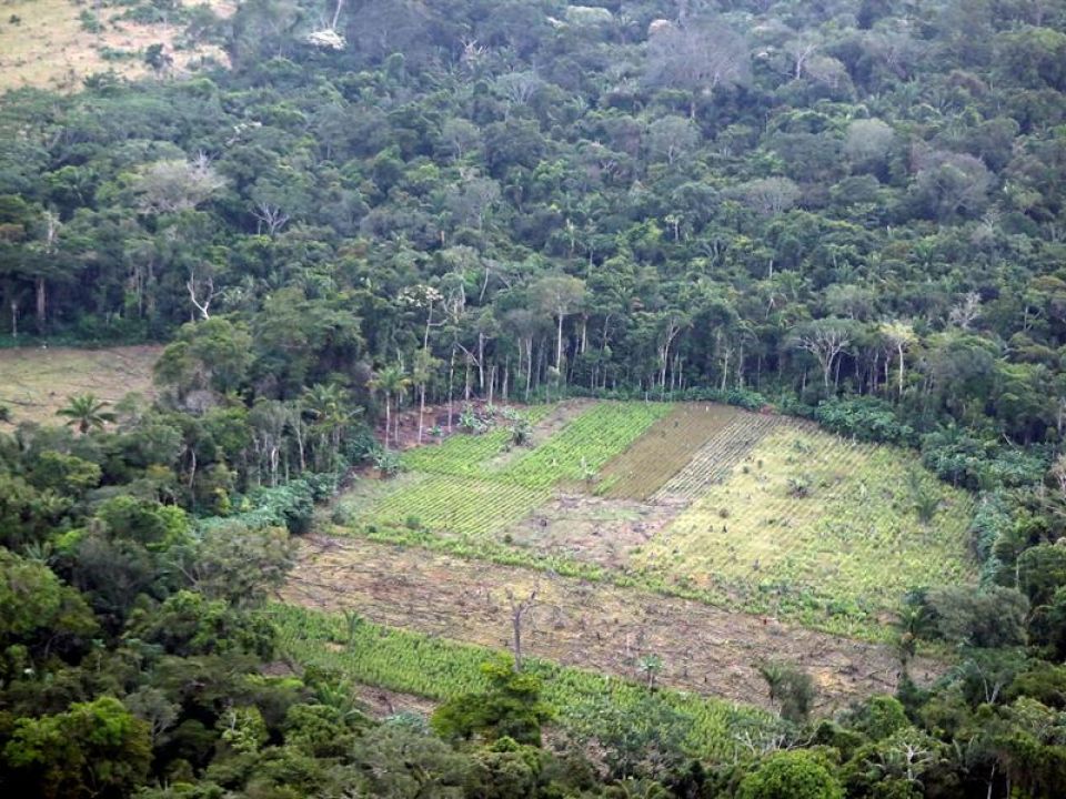 Deforestación en Colombia