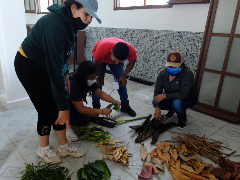 Educación ambiental