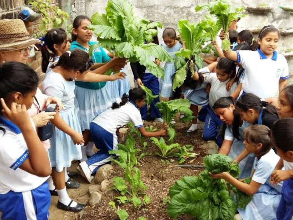 Educación ambiental