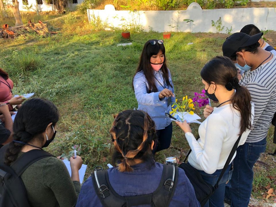Educación ambiental