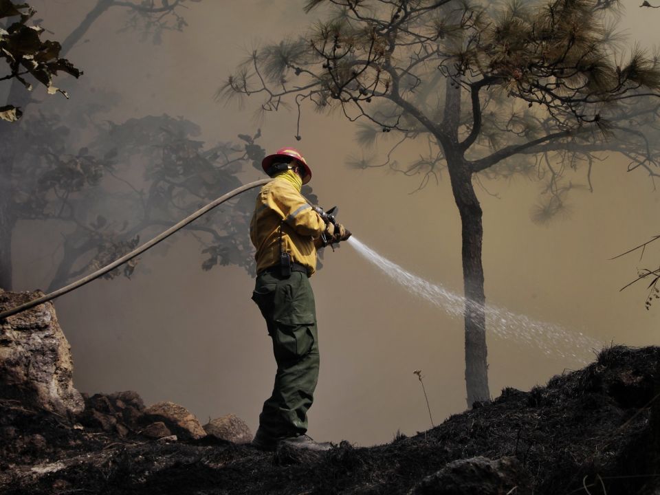 Incendios forestales