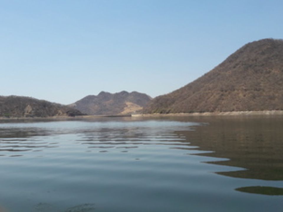 Presa el gallo