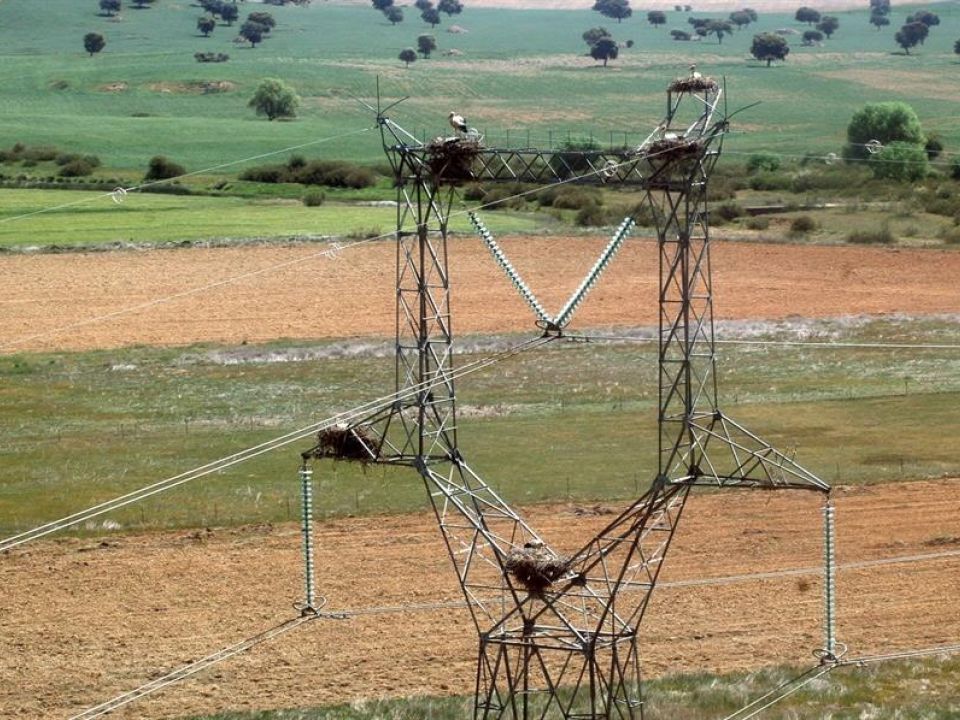 Red eléctrica