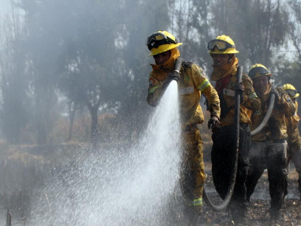 Combatientes de fuego