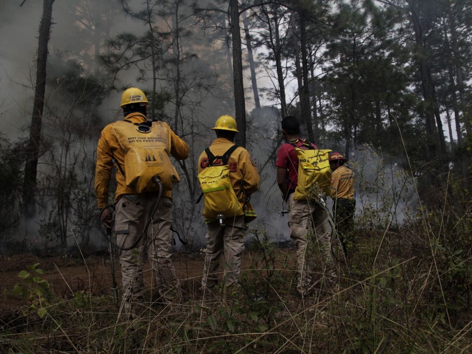 Combatientes de fuego