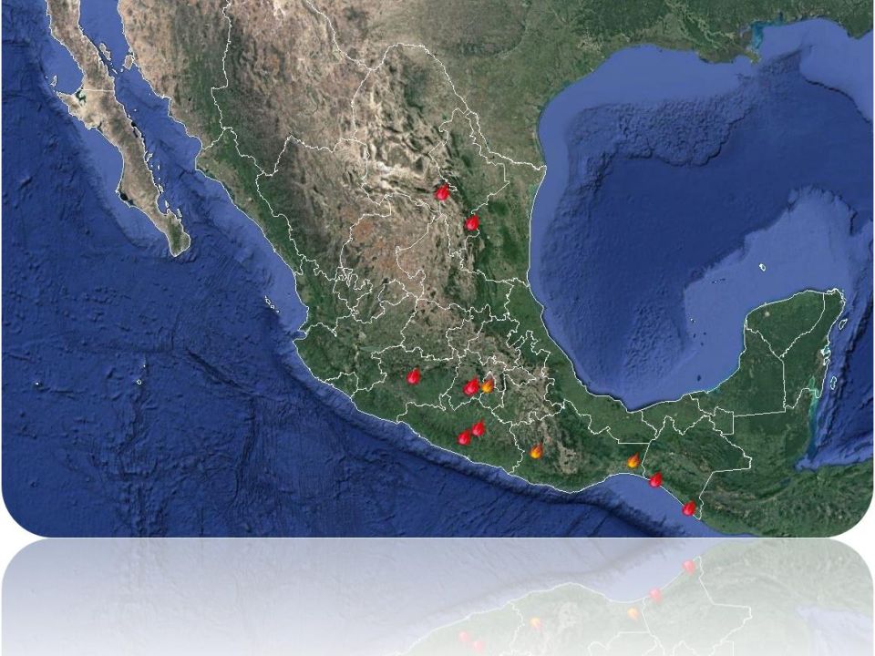 Incendios forestales