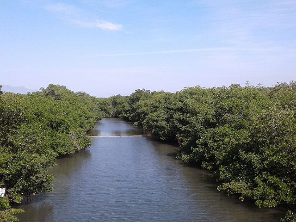 Estero el Salado