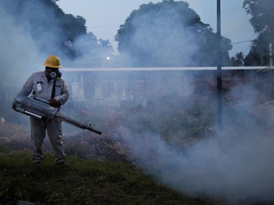 Fumigación