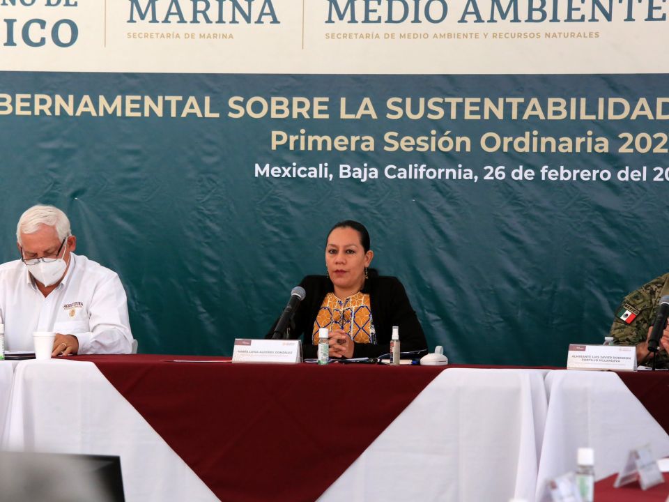 María Luisa Albores González
