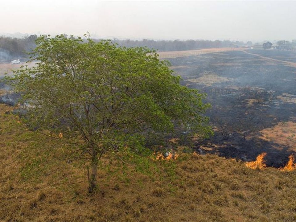 Incendio en la Amazonía