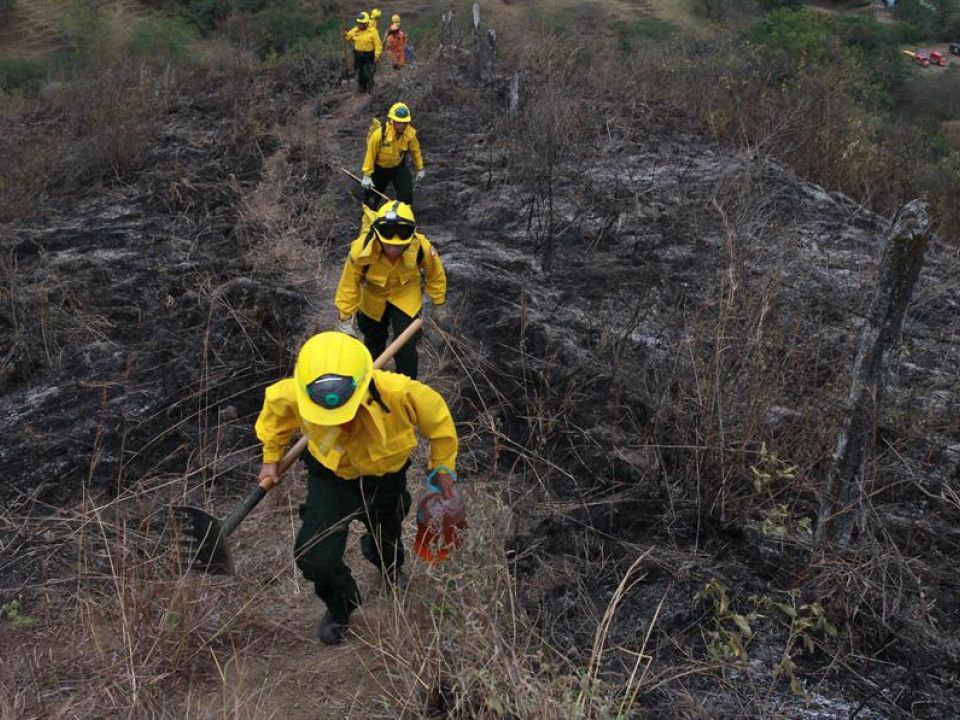 Combatientes de fuego